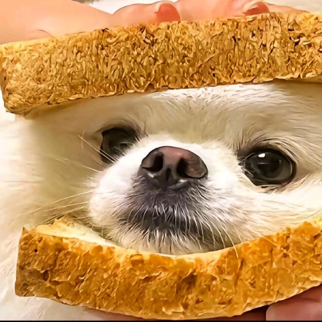 YYYY
