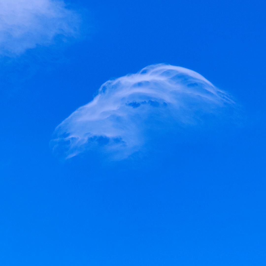 ꩵꦿ余ᩚ生ᩚ安好ꦿꦙ🕊️