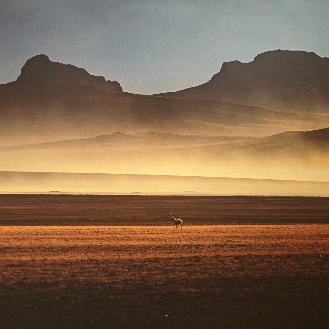 财富真相(钱途得道)