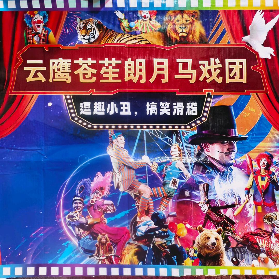 马戏嘉年华-云鹰大马戏