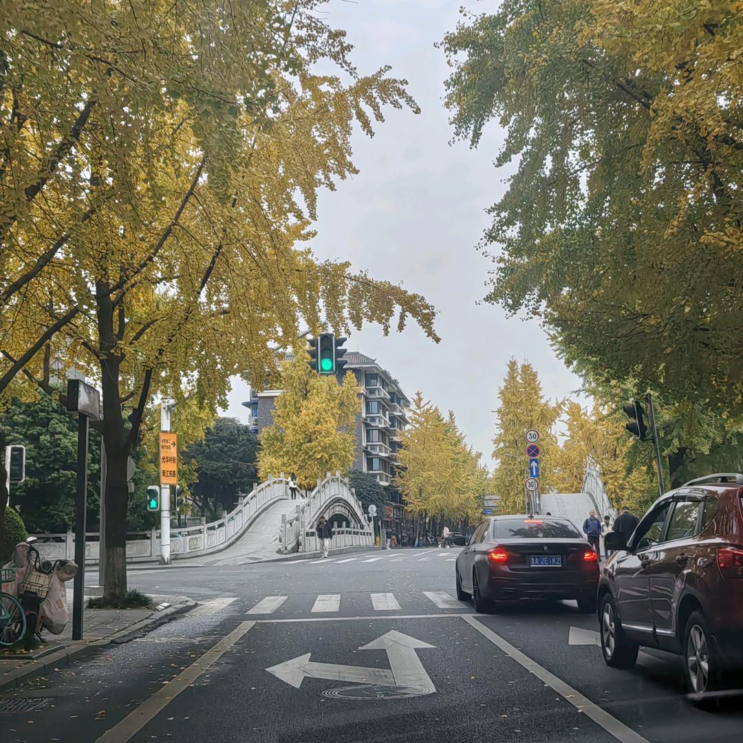 天道酬勤