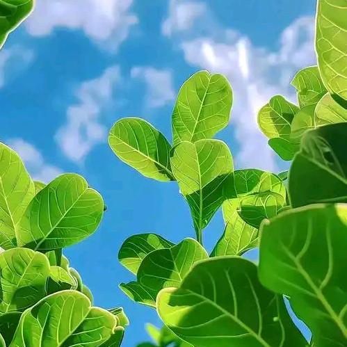 想不到网名