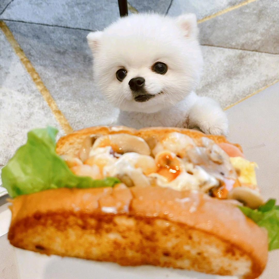 🍄爱着每天的提莫🍄