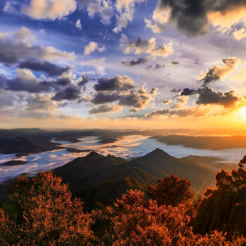 降调的还有生活