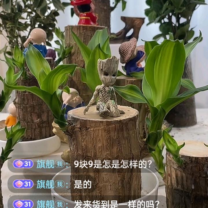 灰太狼