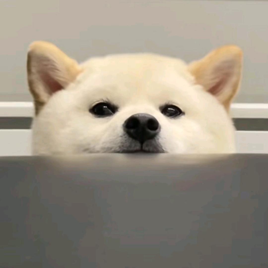 沐橙同学