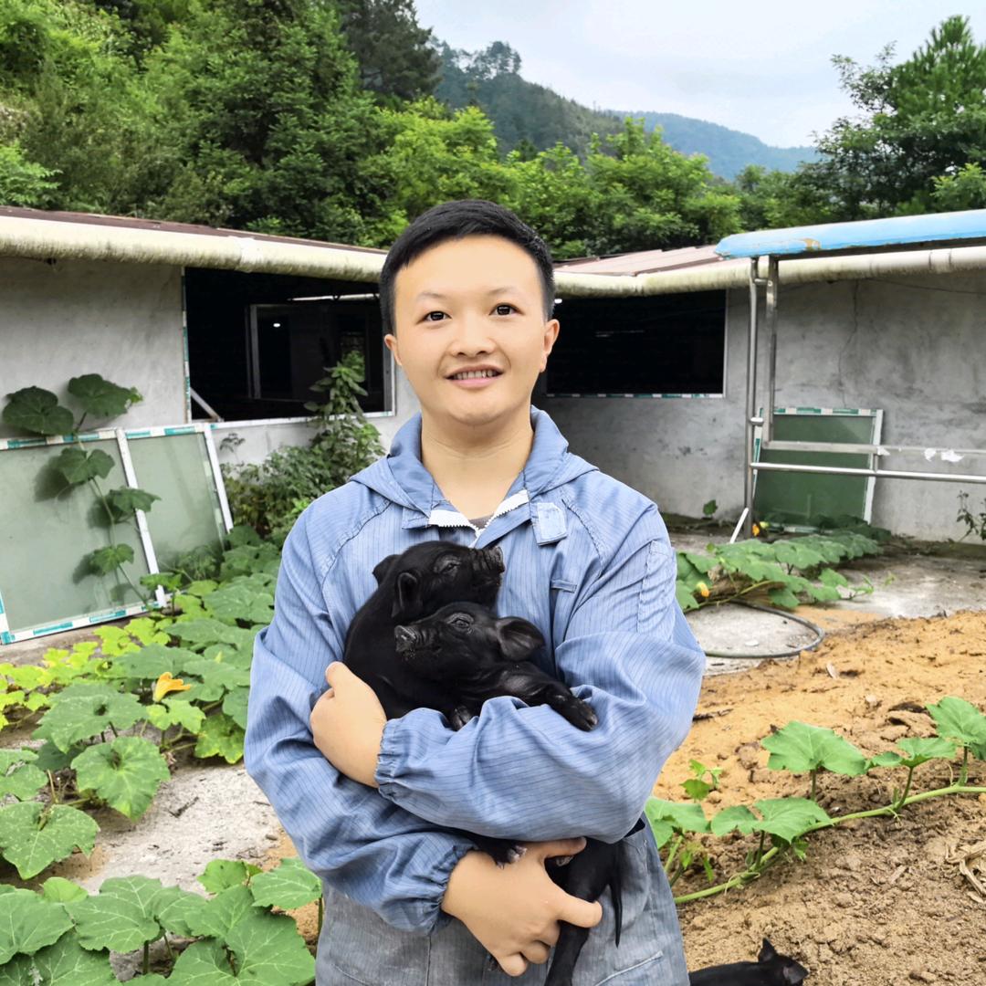 零零后养黑毛猪🐖