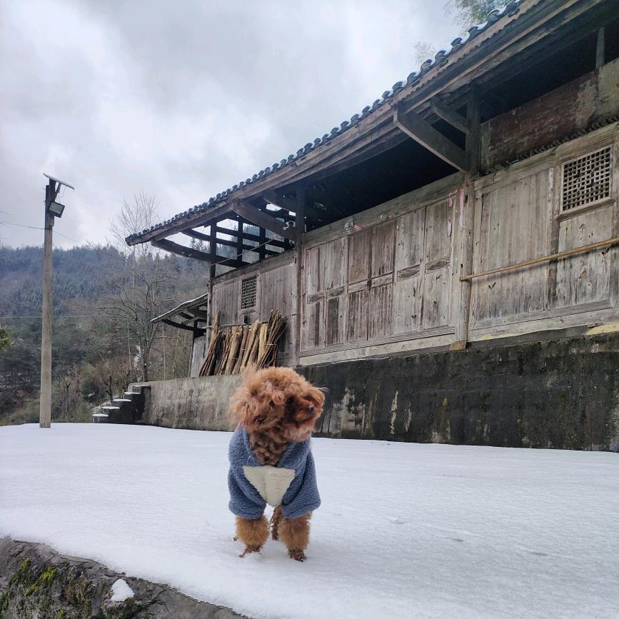 爱拼才会赢🌹🌹🍀