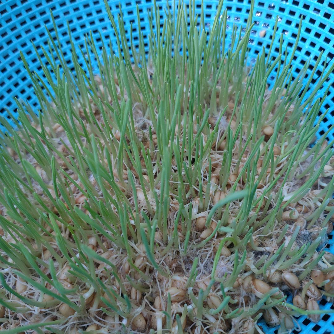 @竫妈食光
