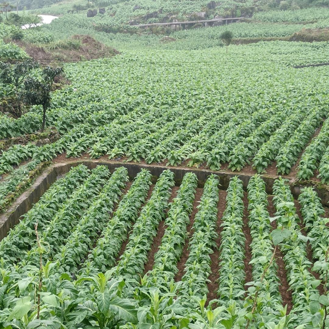 奋斗路上，与你相伴