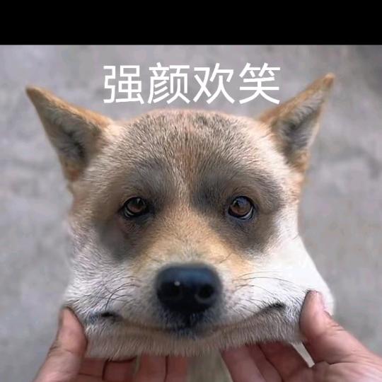 龍🎶歌