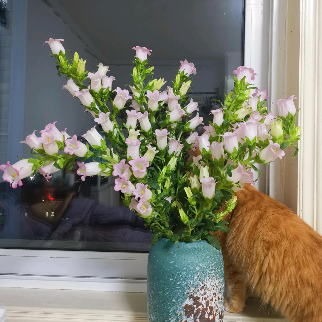 泡泡鱼轻奢童品