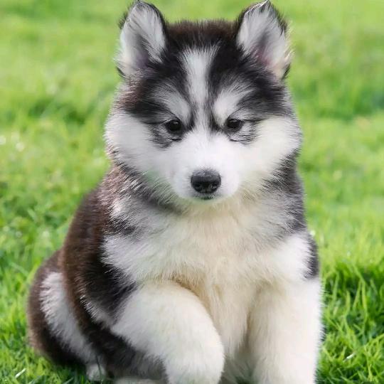 站在十字路口等你