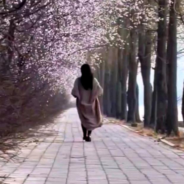 次第花开