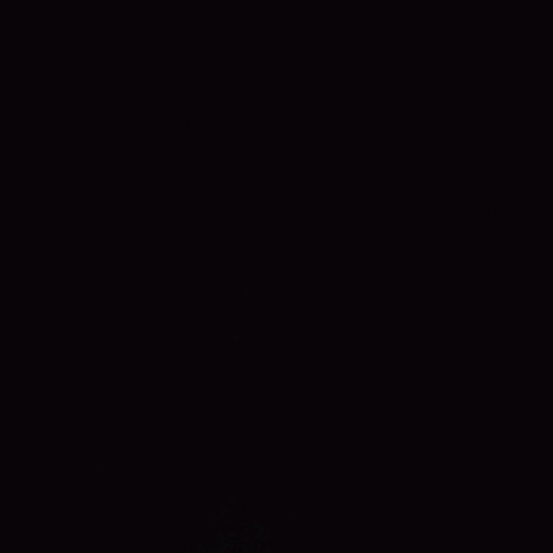 秋