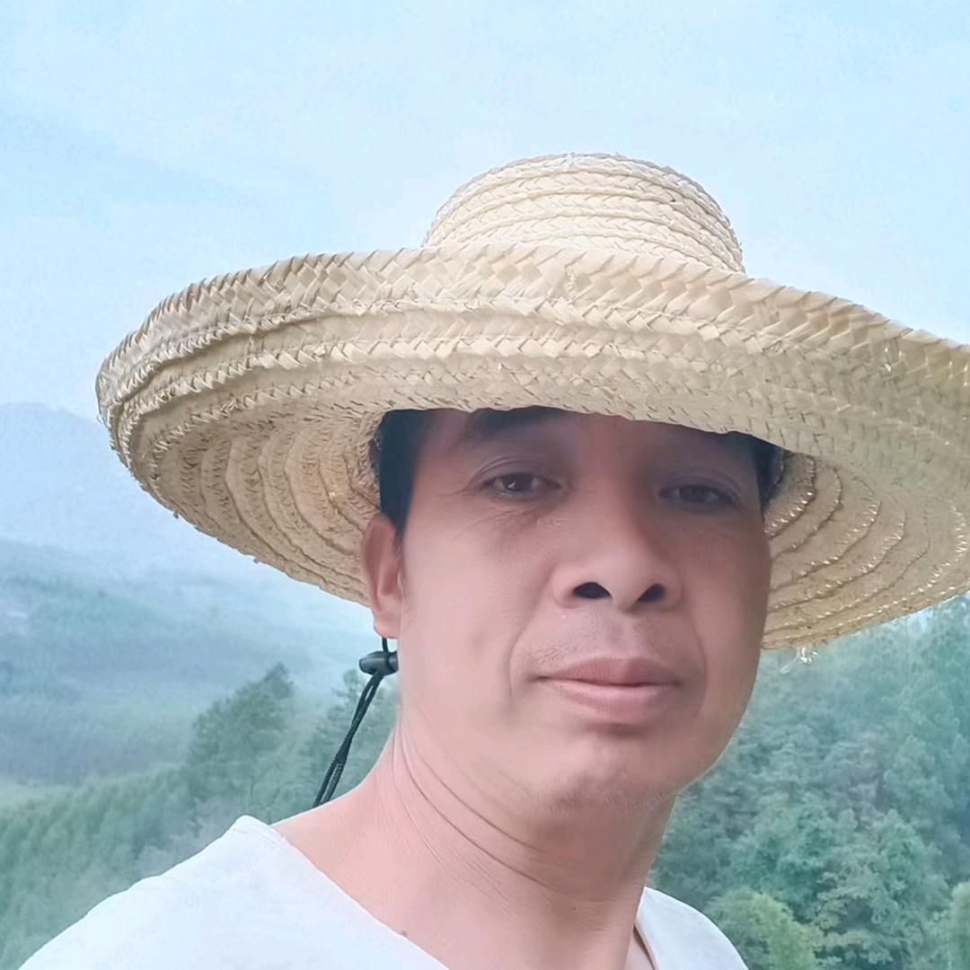 百部中药材