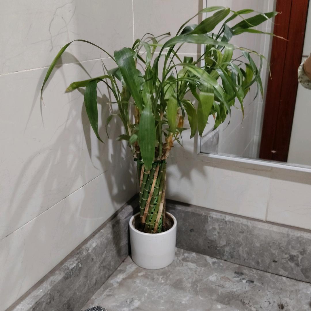 (*σ´∀`)σ💑姐姐