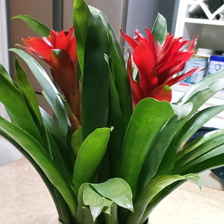 姐的霸气你不懂