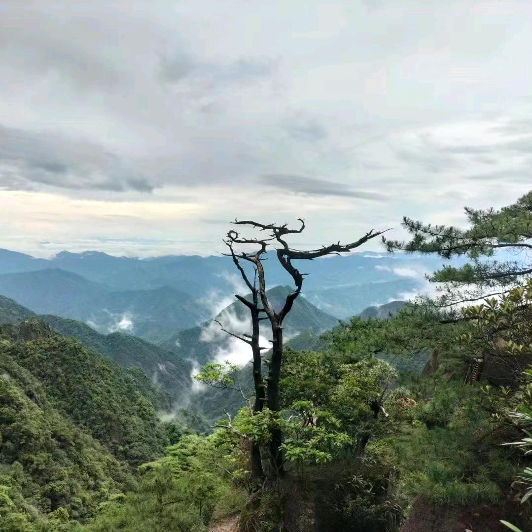 谦和思维