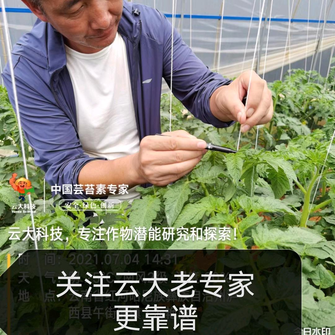 农业界的老中医（作物健康丰收管理专家）