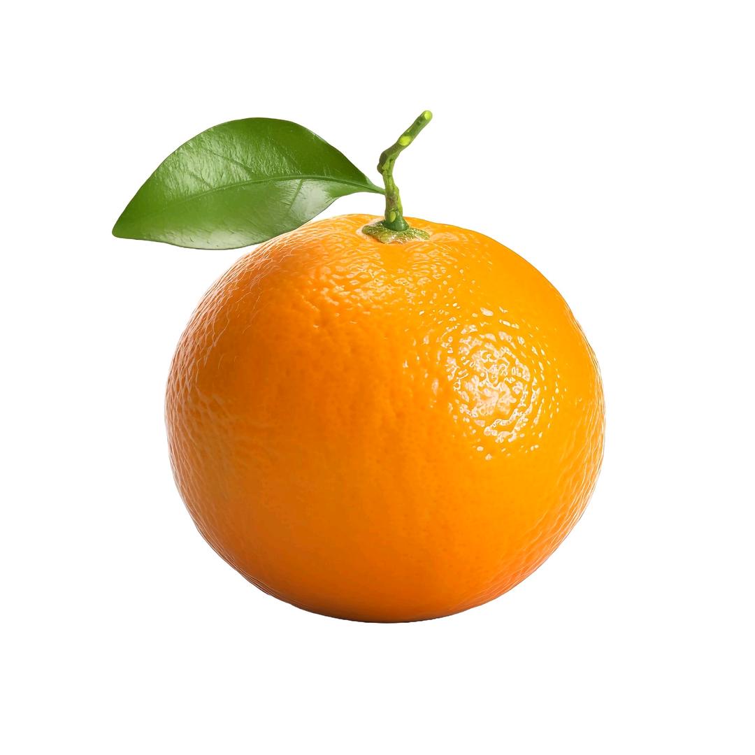 忧郁🍊