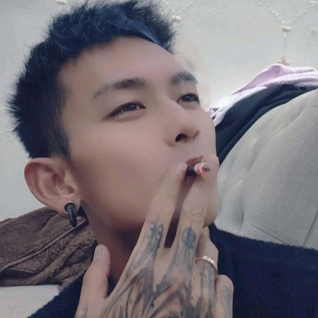 小龙狗