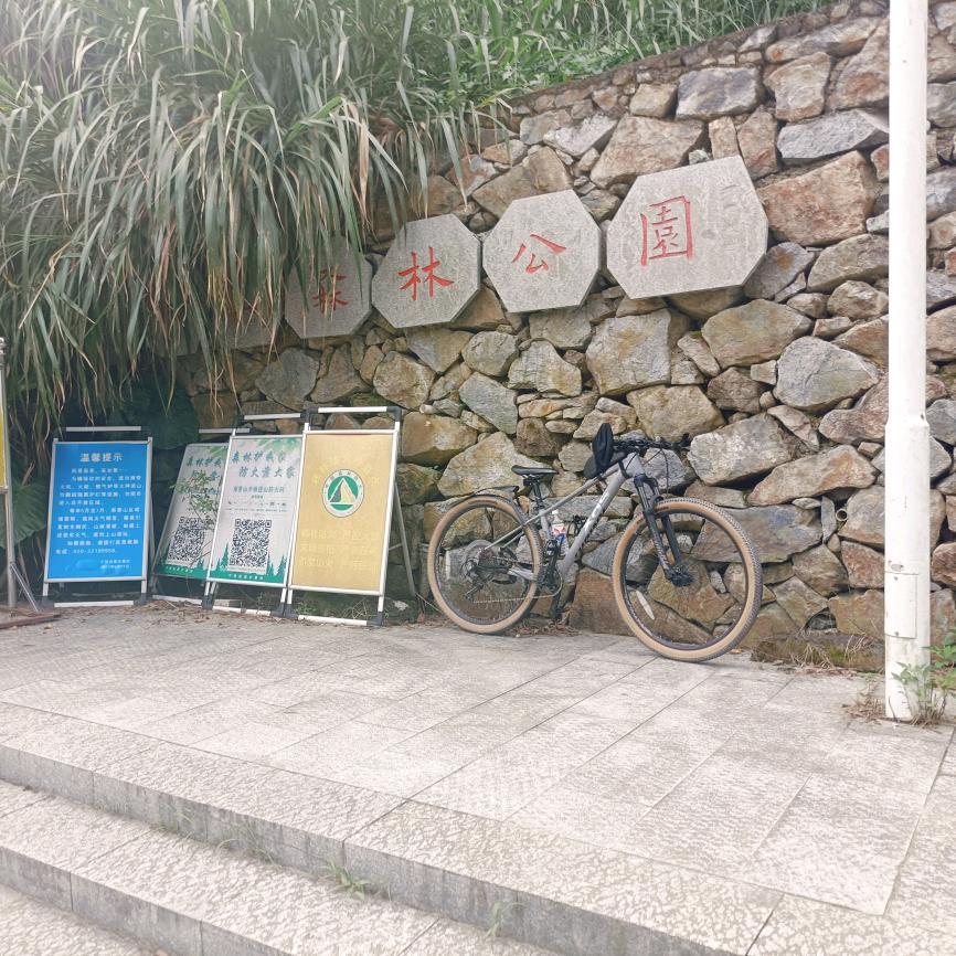 疤巴