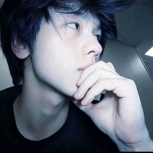 Li Wenjun