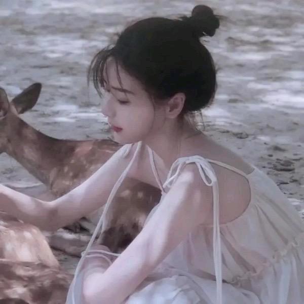 桉