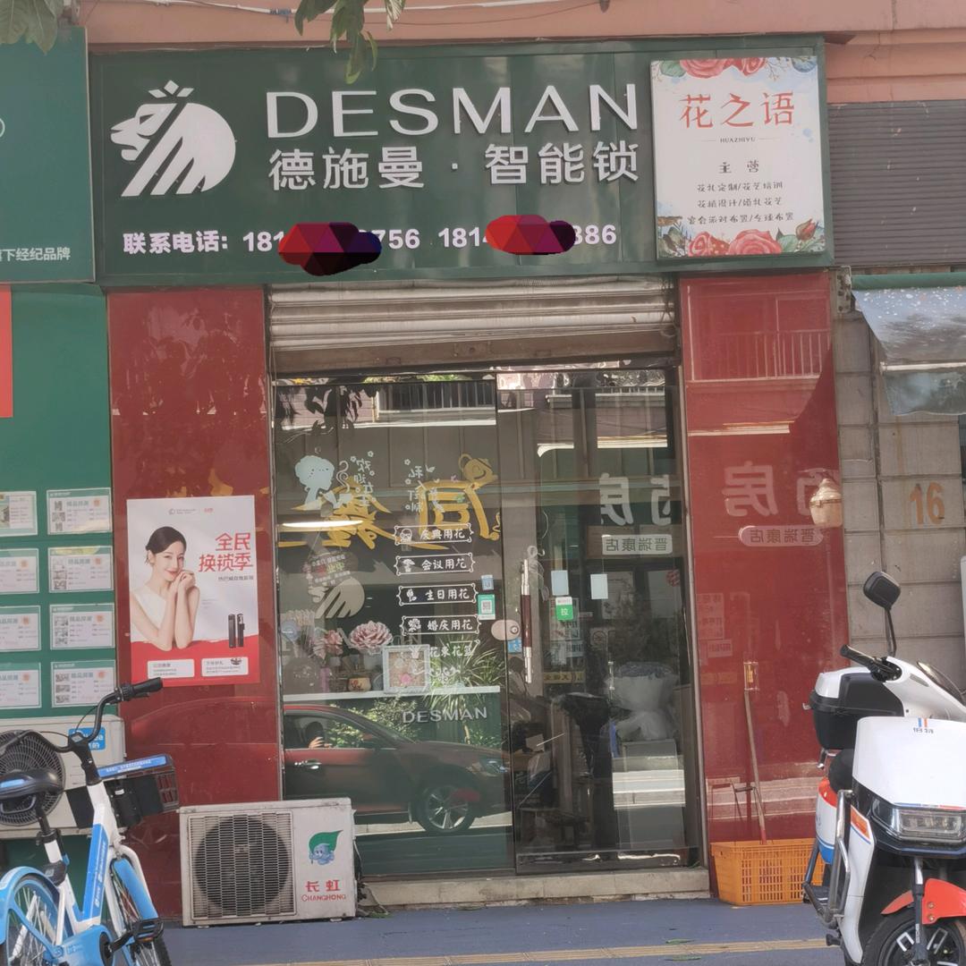 德施曼/唐人街智能锁直销店