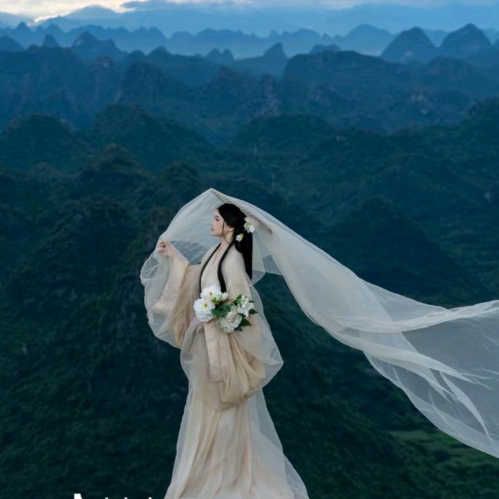 恰似惊鸿落人间