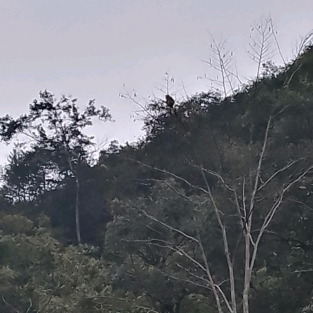 @🎶清❤️风❤️许💘来💖