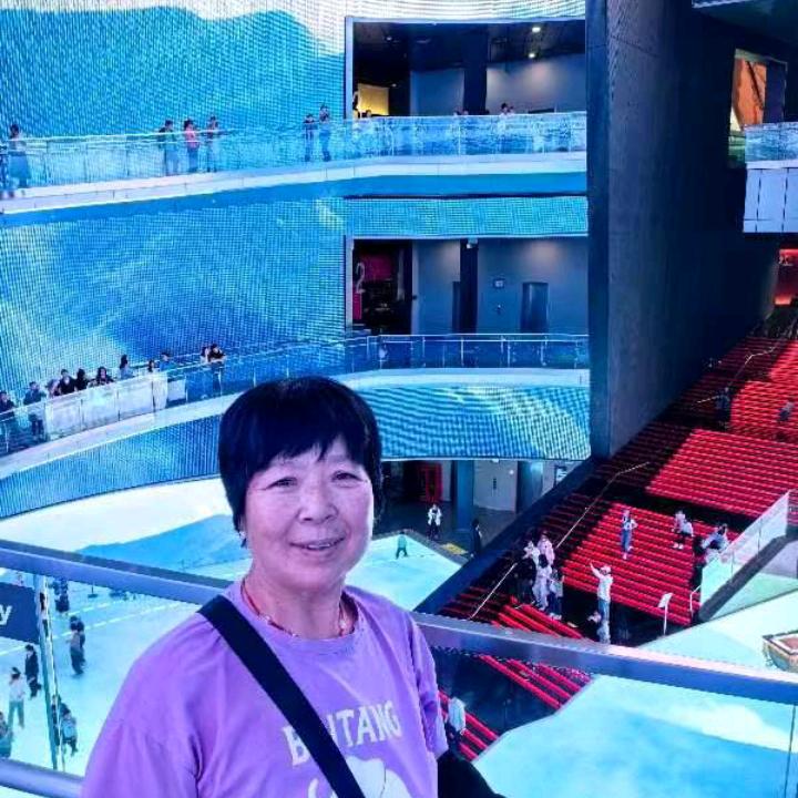 多米