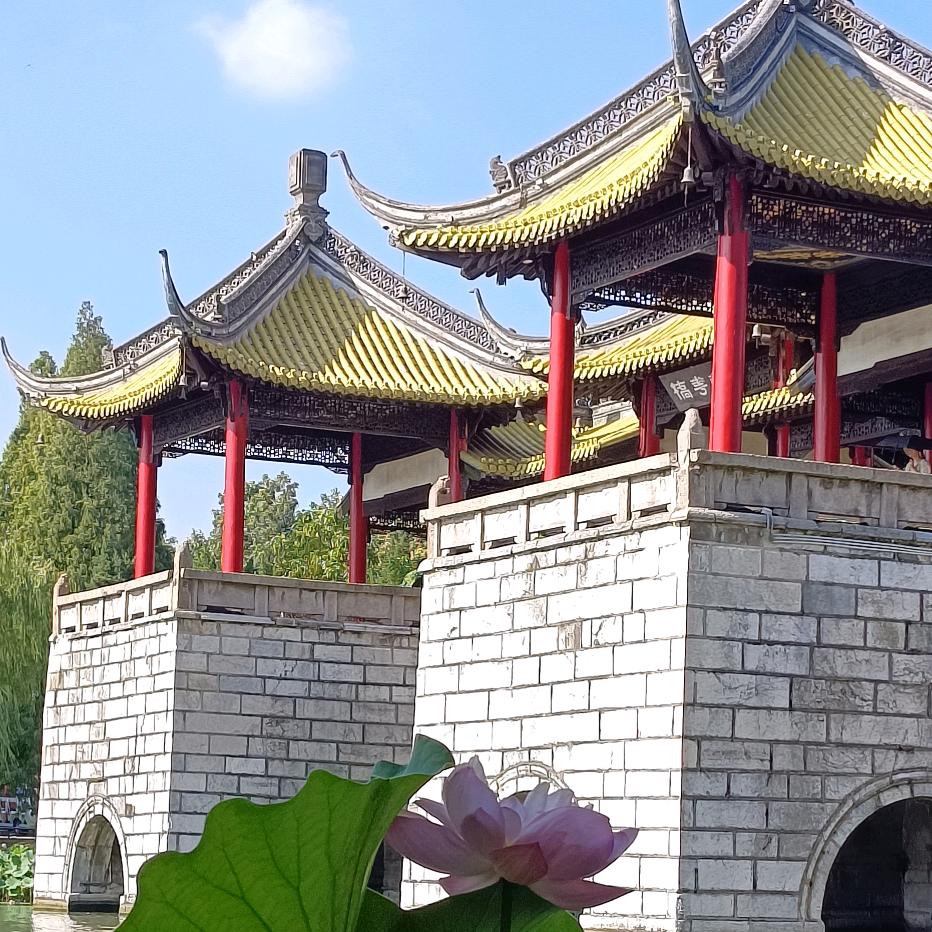 快乐一族