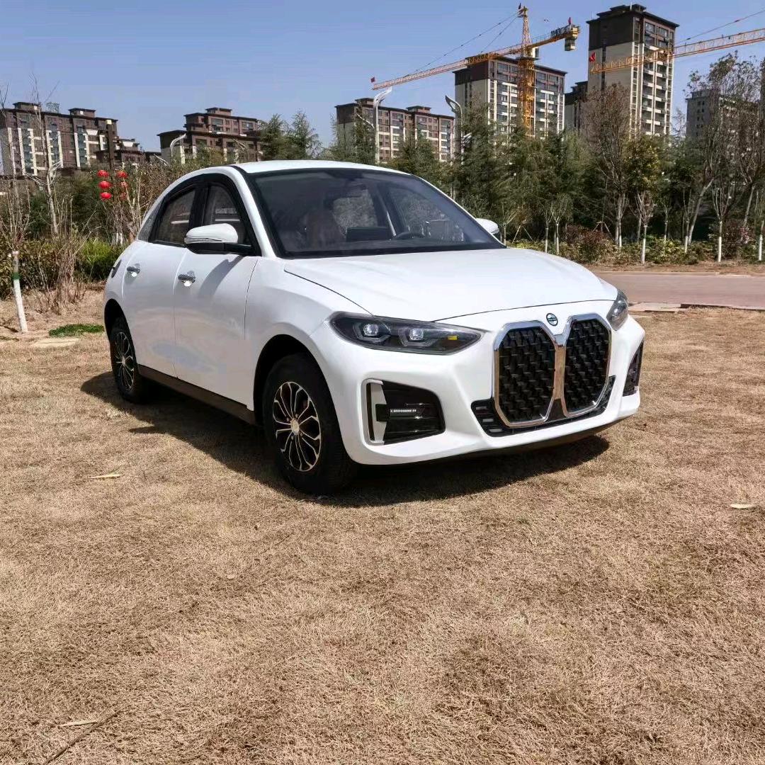 新能源四轮车工厂_小红