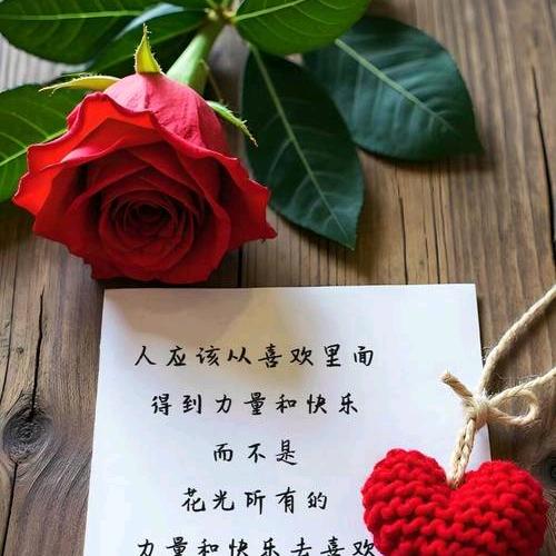 封心锁爱