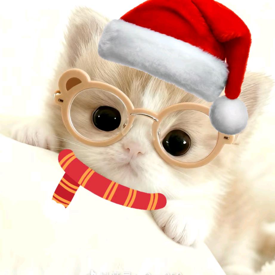 你我不做片刻恋人