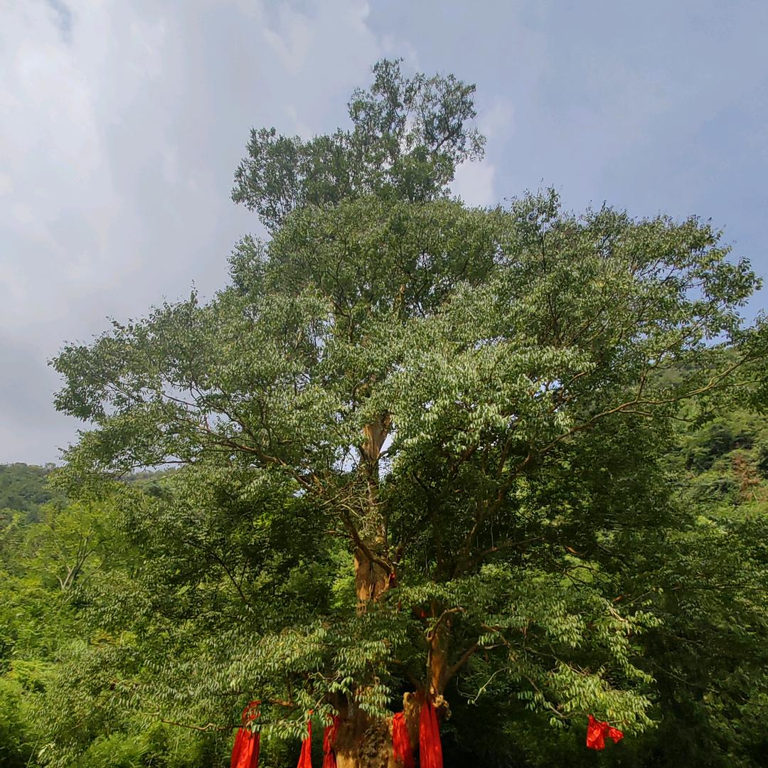 文孟守贵