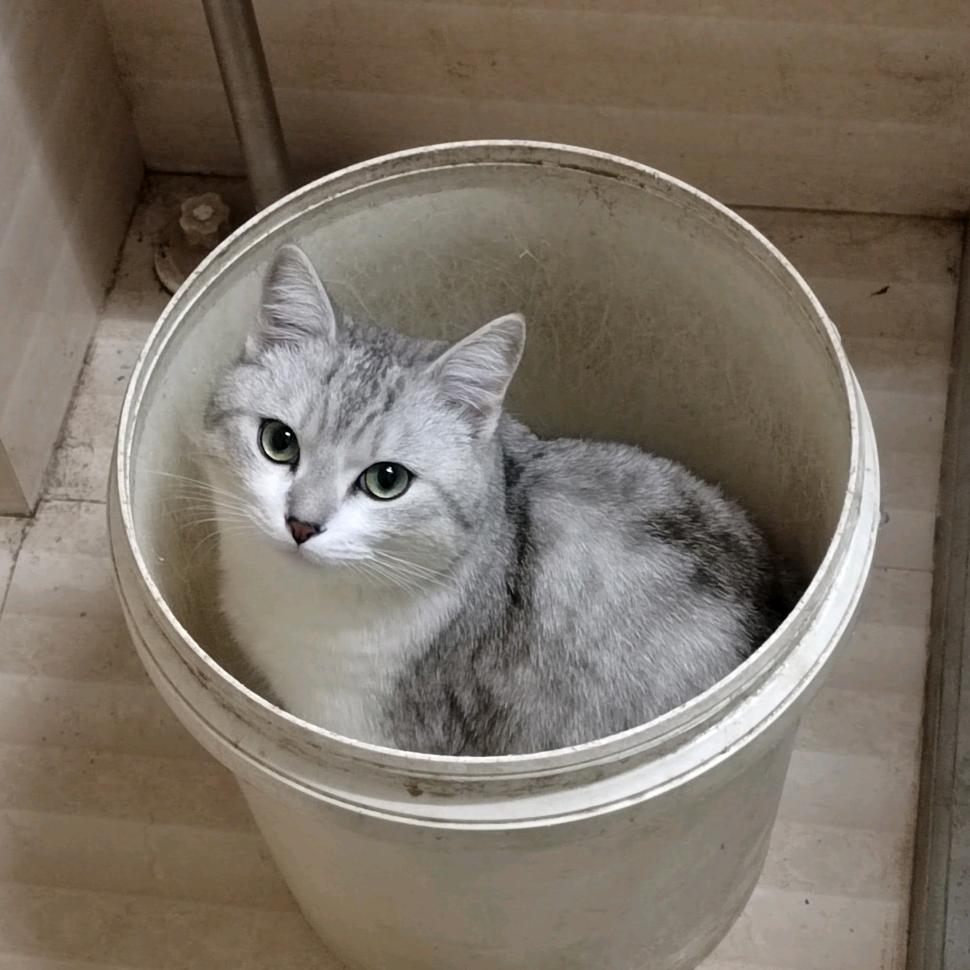 大头上过大学但小头还没上过小学