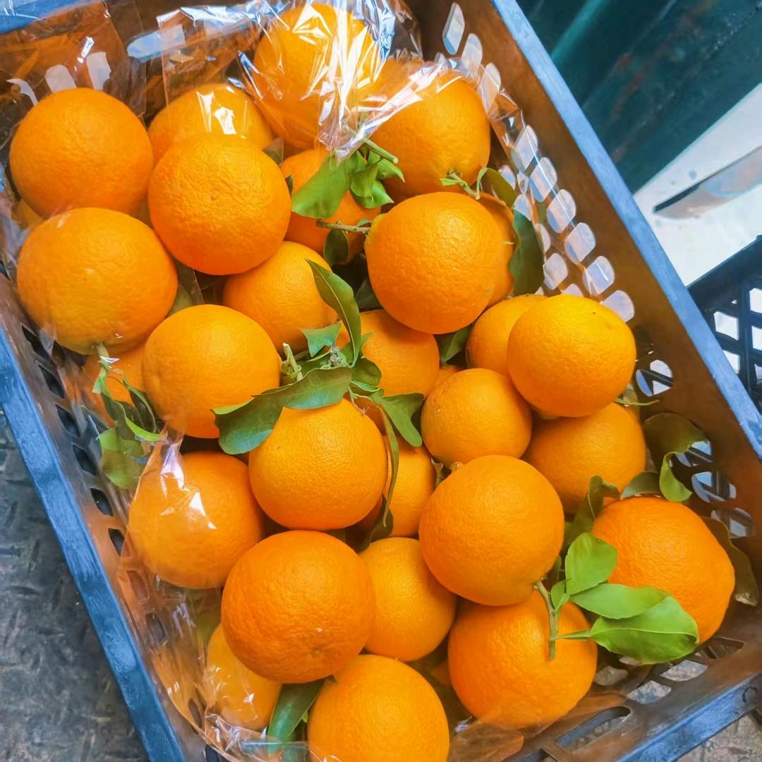 不会游泳换泳池没用