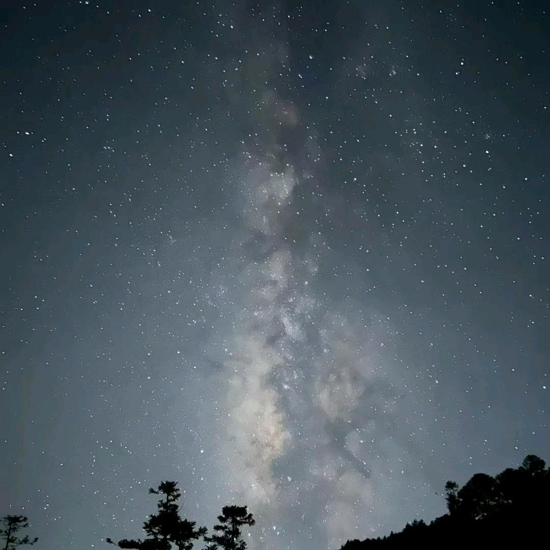 用户3078416620584