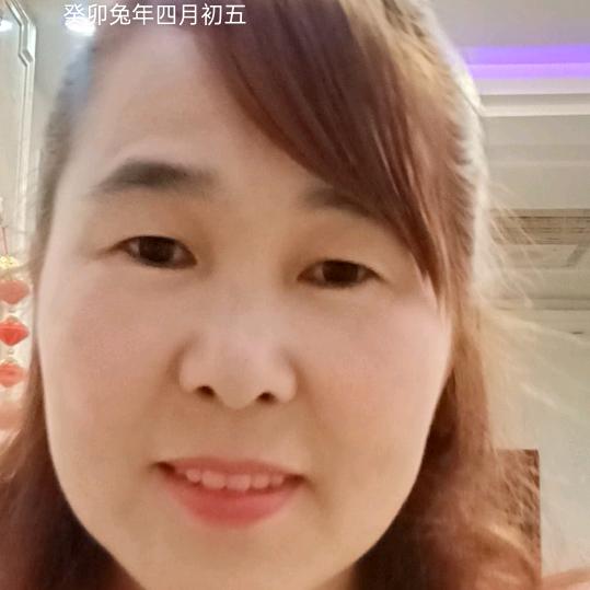 早上的玫瑰
