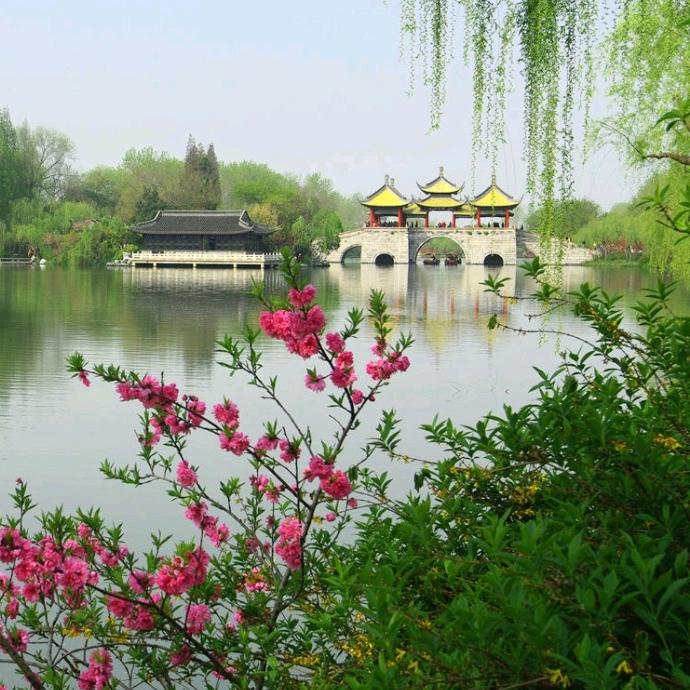 原来是桐桐（首播）