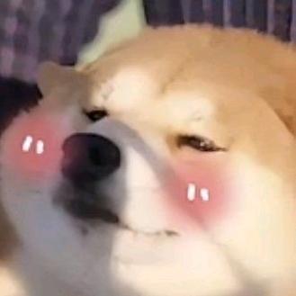 挖口野菜吃❤️‍🔥