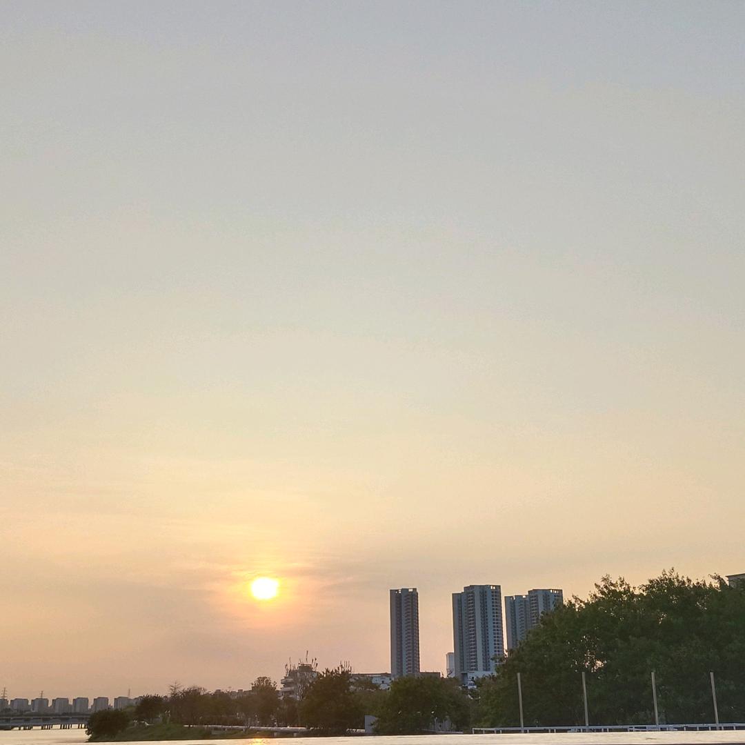 也许～没有也许