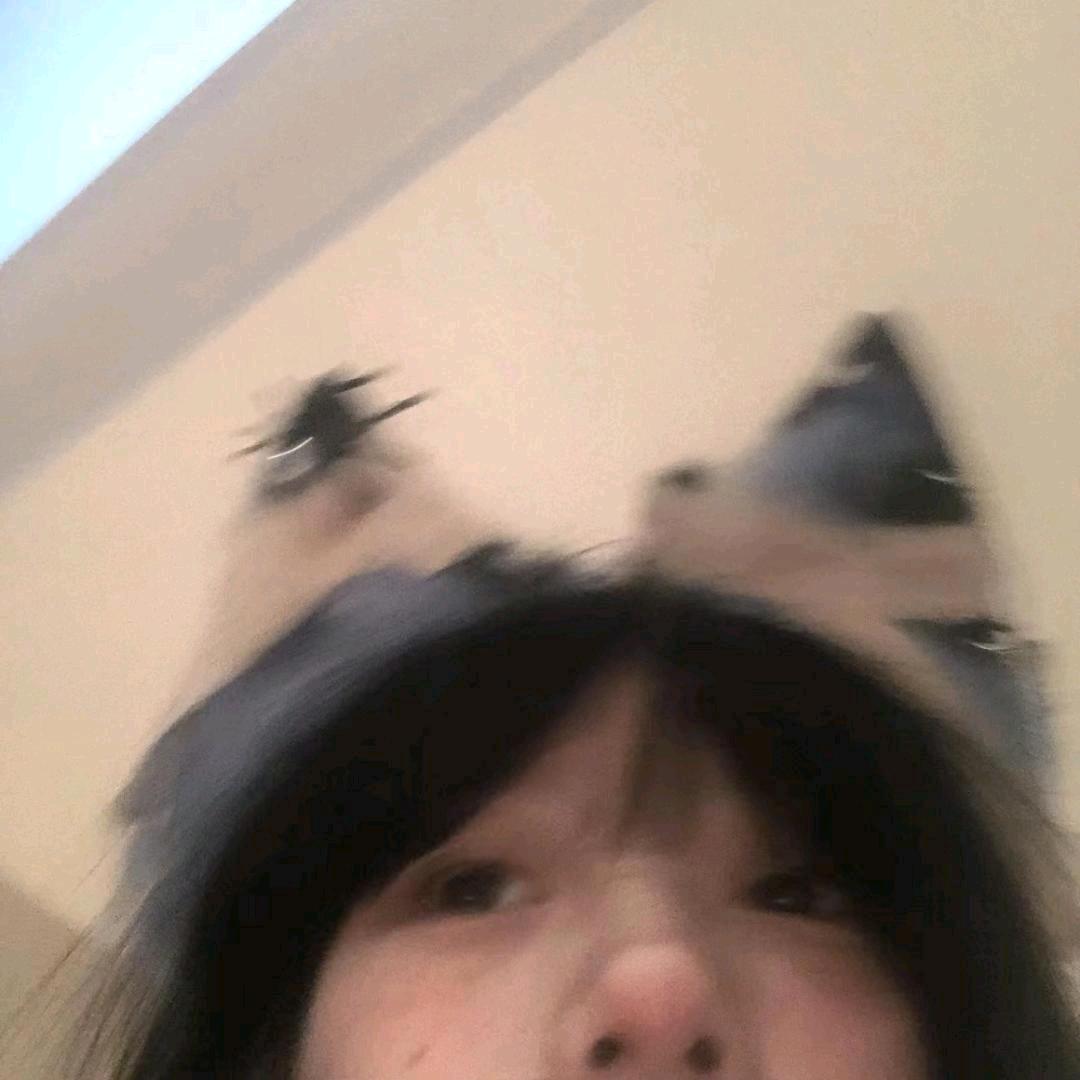 佳特林