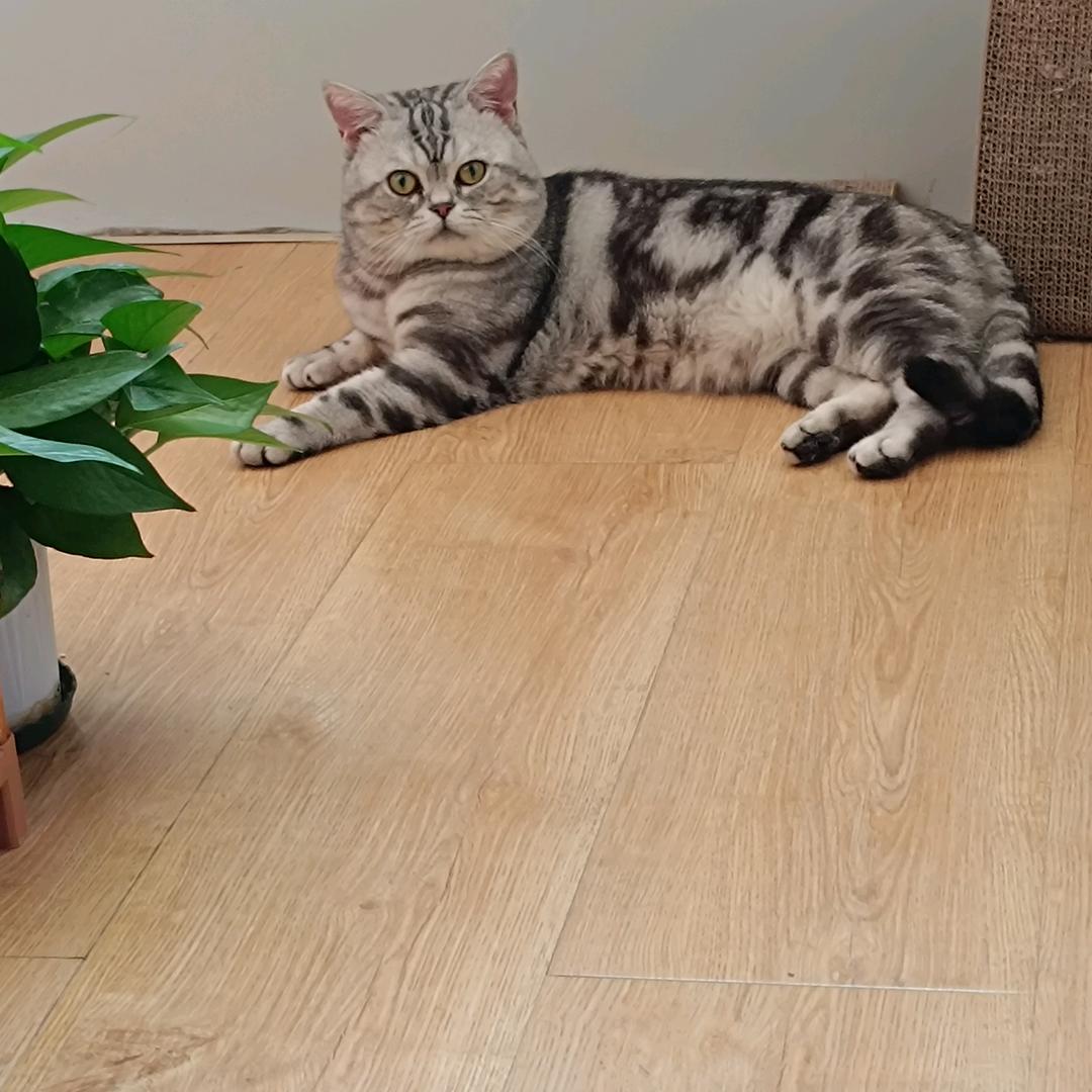 缘来Shi你