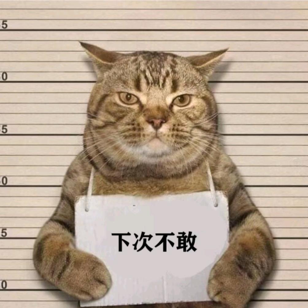 沉稳的老马