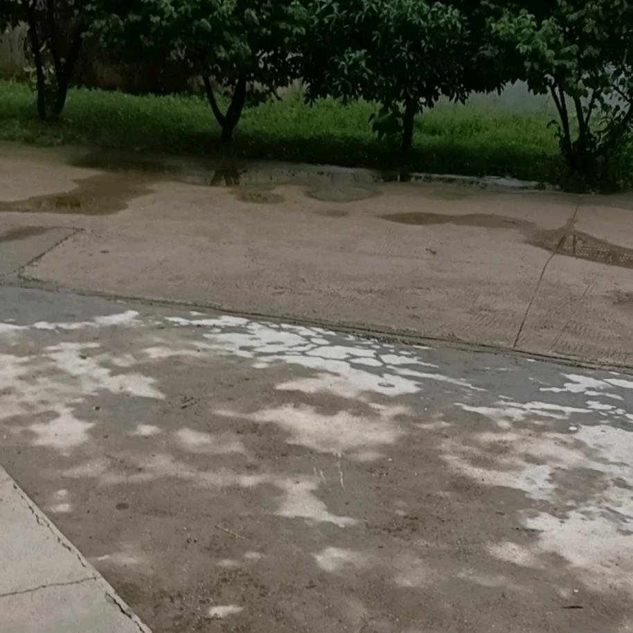 小五子