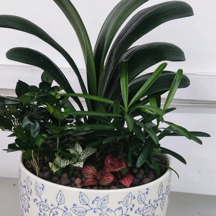 👫追求👩‍❤️‍👨